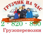 Грузчик на час в Красноярске 2 820 - 830 от
