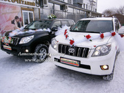 Кортеж джипов Тойота Ленд Крузер на свадьбу