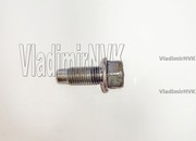 Болт крепления монтажной петли ДВС 99794-1025