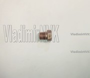 Болт заглушка ОЖ ГБЦ 12208-PAA-A00