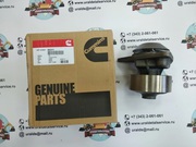 Водяной насос Cummins 3800974 (3802973, 3929612, 3285323, 4376357, 495